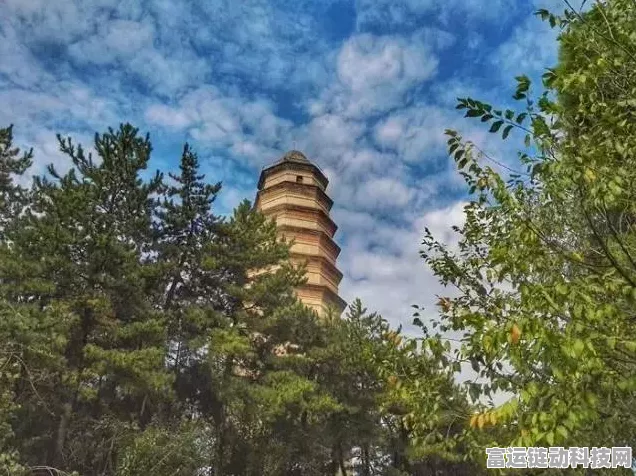 保卫萝卜3攻略，游乐场32关通关秘籍大揭秘