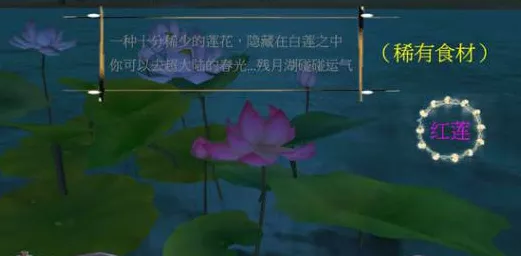 粉色荧光剂探秘指南，创造与魔法稀有资源高效采集攻略