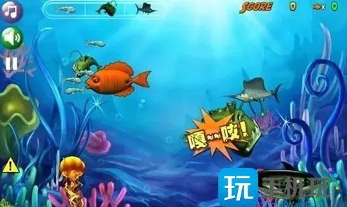 鱼吃鱼苍龙最新兑换码及礼包码大揭秘