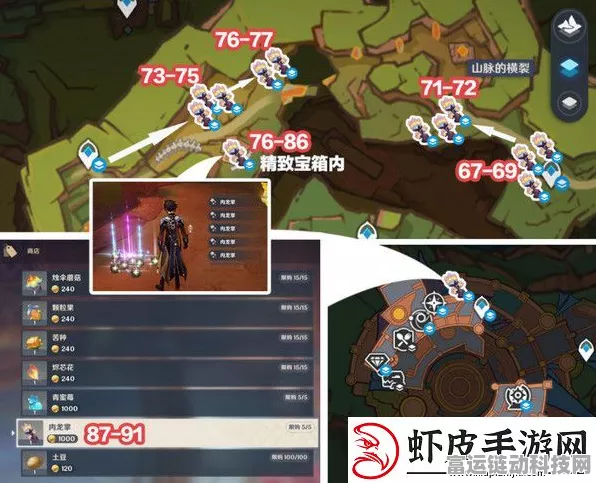 原神肉龙掌采集秘籍，高效路线全解析