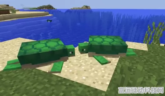 探秘我的世界，海龟蛋高效孵化秘籍