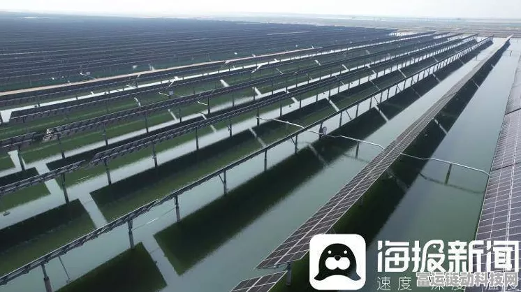 手游资讯，海阳渔光互补新项目赋能绿色养殖，年减碳5万1千吨引领手游界环保新风尚！