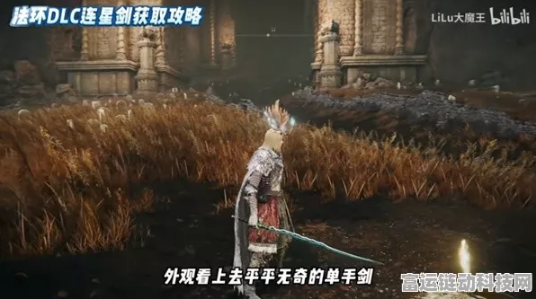 艾尔登法环黄金树之影 DLC，武器伤害巅峰对决