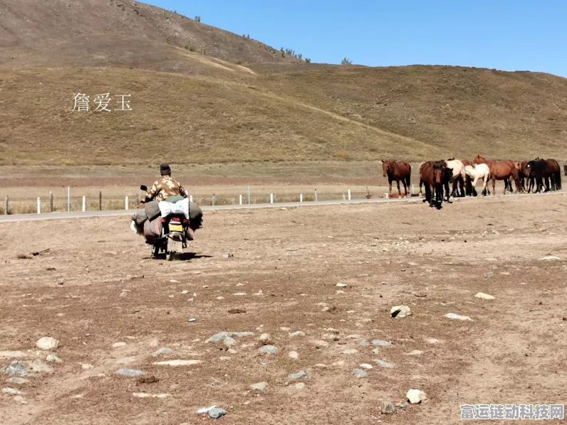 创造与魔法搬家攻略，轻松迁徙，打造梦幻新家全解析