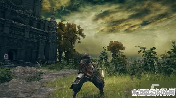 艾尔登法环武士加点秘籍，打造最强武士之路