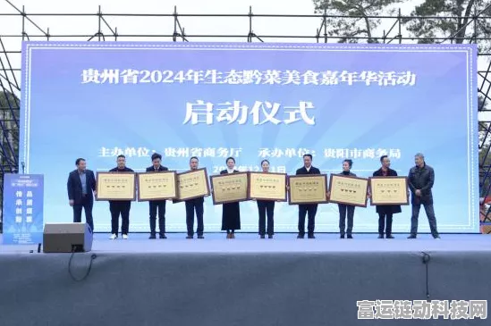 DNF 2024 嘉年华购票秘籍，详细流程与关键细节