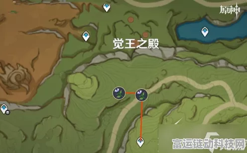 原神帕蒂莎兰采集全攻略，最佳采集点大揭秘