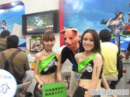 看你怎么秀，美女与猪关卡通关秘籍大揭秘