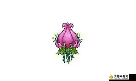 泰拉瑞亚魔力花的神奇用途大揭秘