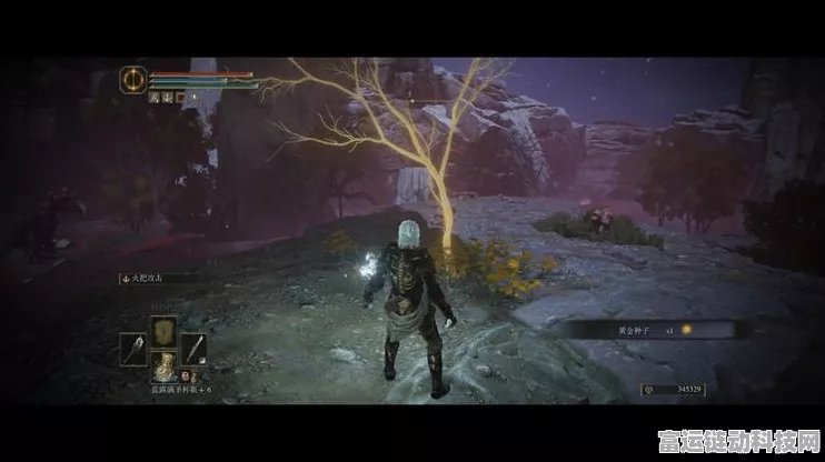 艾尔登法环黄金树之影 DLC 黑夜刀获取秘籍大揭秘