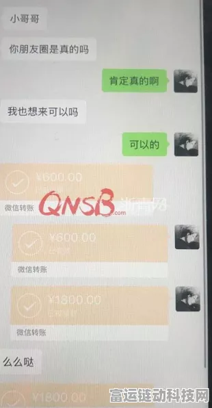 小森生活快速致富秘籍，深挖金矿高效赚钱攻略