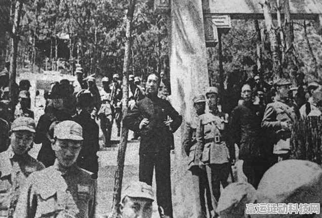 交错战线深度解析，霖角色强度全揭秘及实战应用