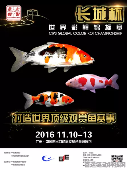 探秘创造与魔法，全新观赏鱼分布图大揭秘，赢取珍稀鱼种大赛即将开启！