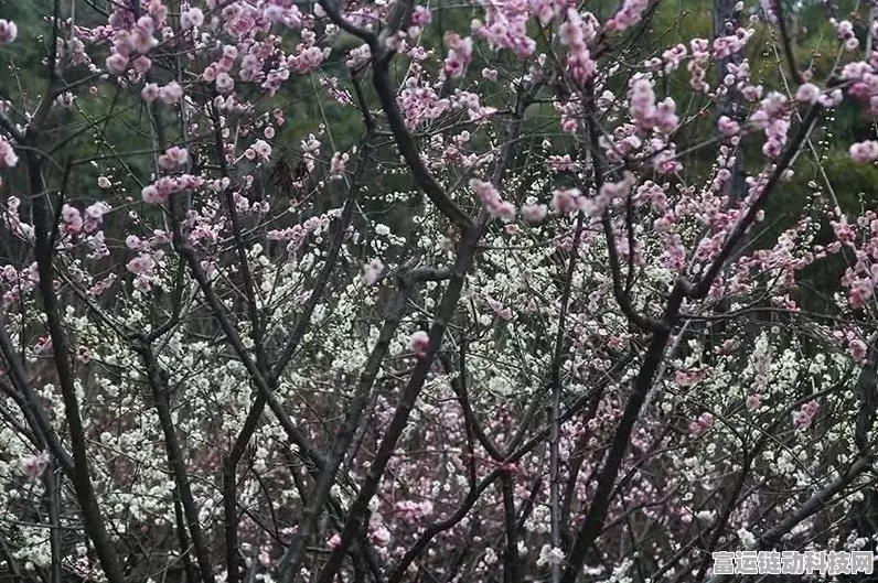 哈利波特魔法觉醒，雪白楼房内拼图寻宝秘籍大公开