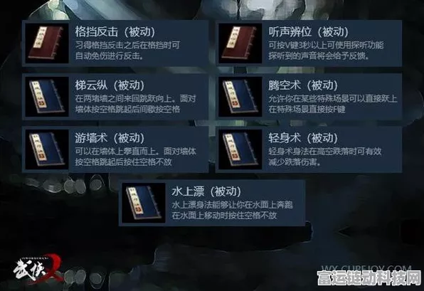 活侠传武功等级飙升秘籍，全方位升级攻略