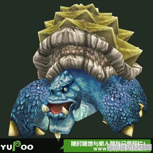 探秘魔兽世界乌龟服，铁背龟的神秘藏身之处