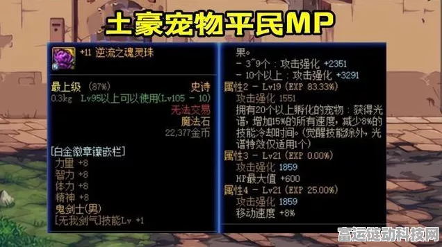 DNF110 版本暗殿骑士时装属性的绝佳之选