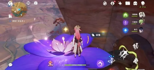 原神新版本资讯，忧昙花花蕊采集全攻略