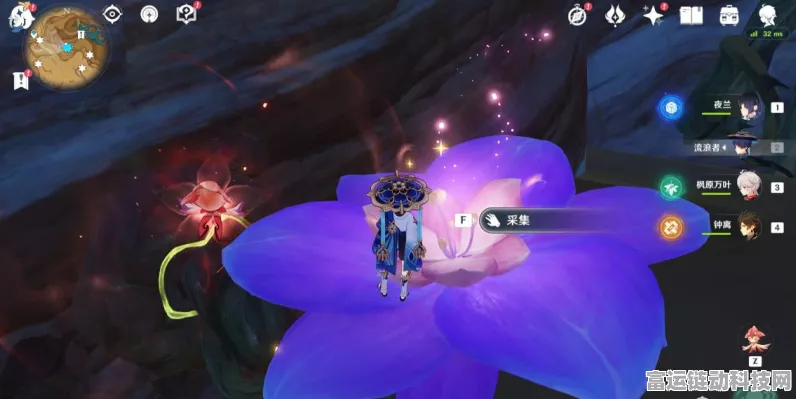 原神新版本资讯，忧昙花花蕊采集全攻略
