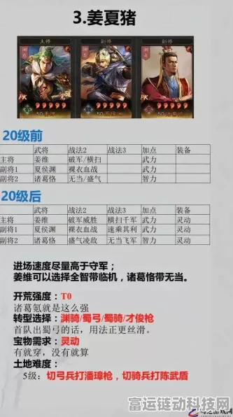 揭秘三国志战略版S12赛季冠军阵容，顶尖搭配与配将策略全剖析