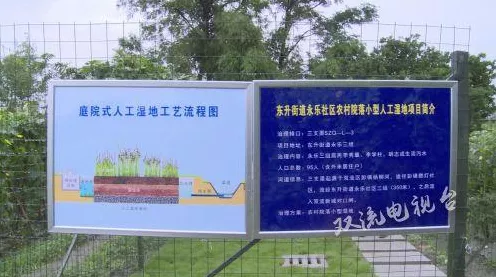 我的世界鹅卵石搜集大赛攻略，解锁所有获取秘籍