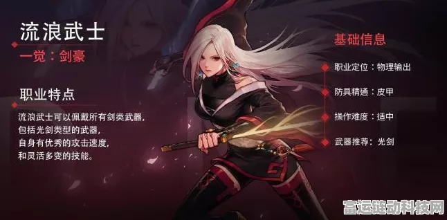 冒险大作战，黑皮 PVE 实力惊人，竟能与弩手比肩！
