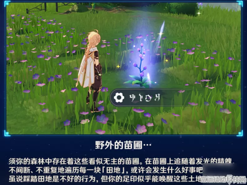 原神森林苗圃探秘，桓斯弥利底高效收集秘籍