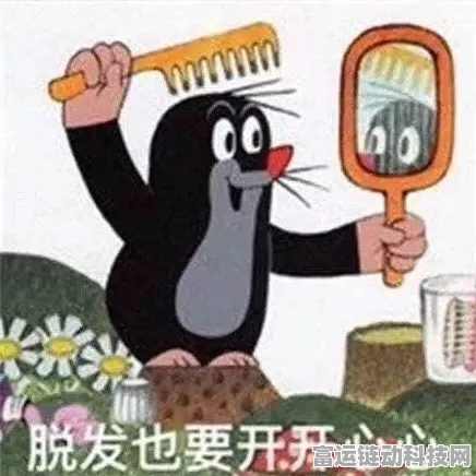就挺秃然的妈妈我爱你关卡通关秘籍大揭秘