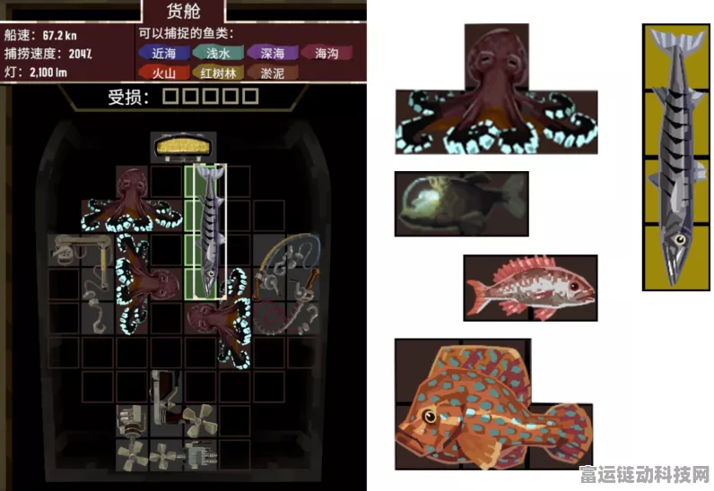 渔帆暗涌，探寻神秘东方扁虾的藏身之处