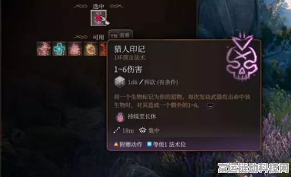 博德之门 3 驯兽师畅玩秘籍，深度攻略指南