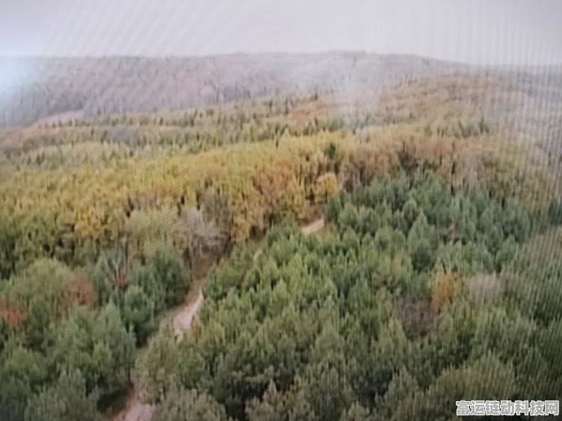王者荣耀天下粮仓标签全解析，助你称霸峡谷
