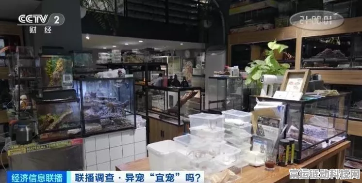 手游新宠，漫画爬虫大赛——解锁数字漫画世界的创新工具