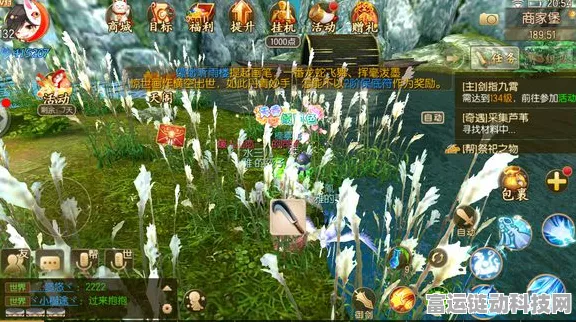 原神东花坊时雨深度解析，属性全揭秘