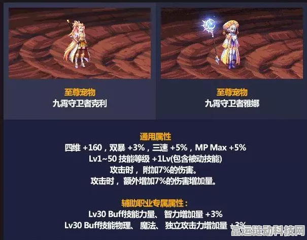 DNF 2024 五一套宠物属性大揭秘，震撼来袭！