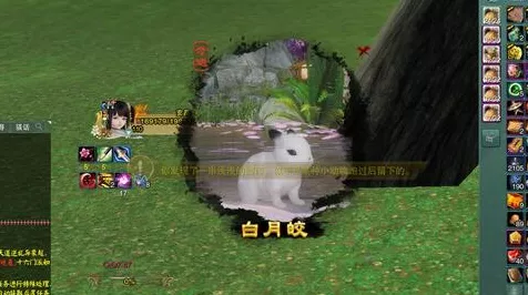 剑网3深度攻略，清茗经宠物奇遇解锁秘籍，稀有萌宠轻松抱回家！
