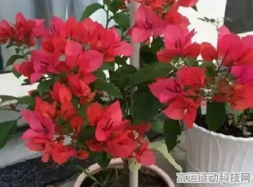 超级达人通关秘籍，攻克坏掉的歌词关卡