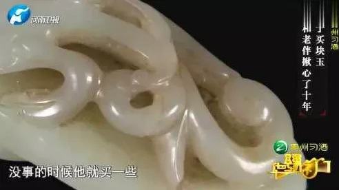 探秘，我养你阿鉴定坊的神秘入口
