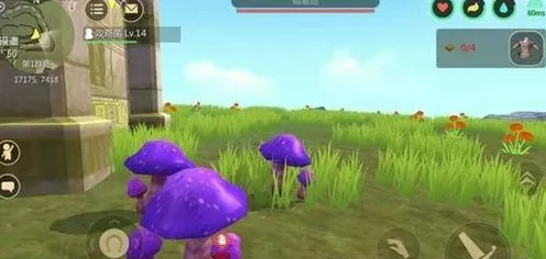 云露伞菇获取攻略，解锁创造与魔法珍稀资源的秘密