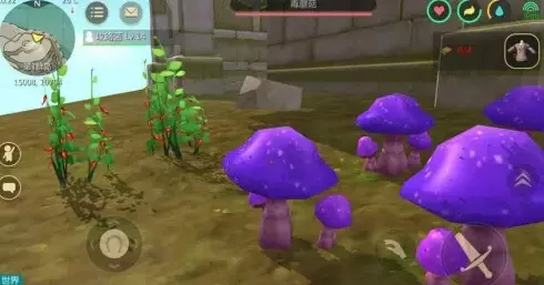 云露伞菇获取攻略，解锁创造与魔法珍稀资源的秘密