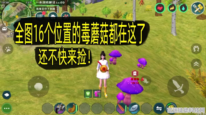 云露伞菇获取攻略，解锁创造与魔法珍稀资源的秘密