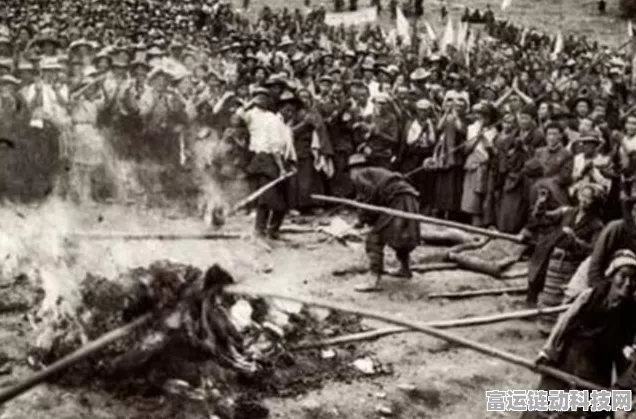 庄园领主贸易路线的深度探秘与规则全解
