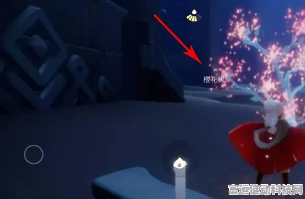 探秘光遇禁阁赏花任务，超详细流程与完成秘籍