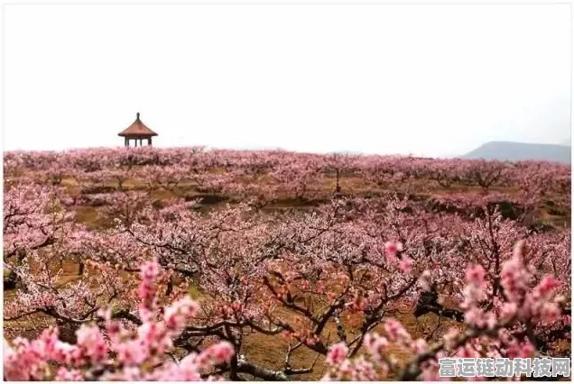 桃源深处有人家，种花秘籍大公开