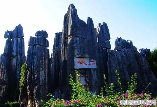 原神，探秘奇特零件收集任务全流程