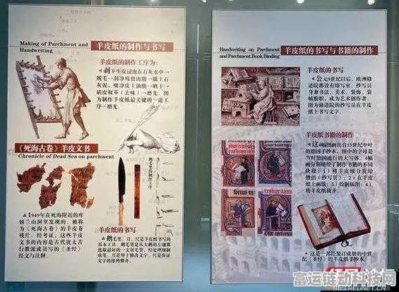 万国觉醒探秘，揭秘埃及文明造纸术的奥秘材料