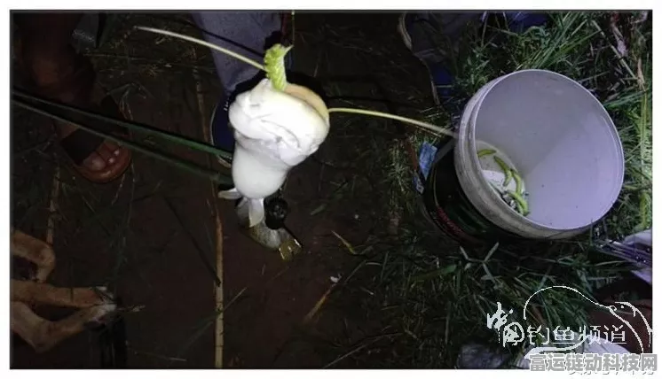 航海王热血航线巨星鲶鱼垂钓全攻略，揭秘最佳垂钓点与技巧