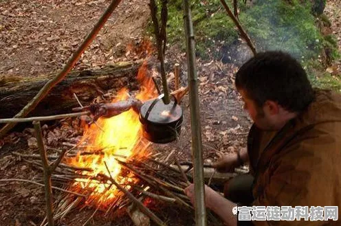 炭熄游戏生存秘籍，掌握这些技巧称霸荒野