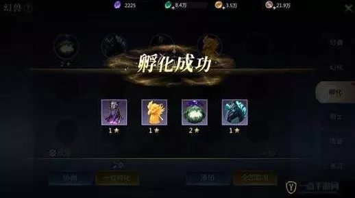 魔域手游三宠解锁全攻略，揭秘终极战斗伙伴培育秘籍