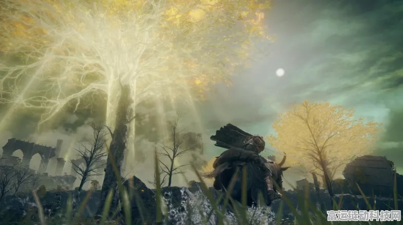 艾尔登法环黄金树之影 DLC 修改器的秘密与用法全解析