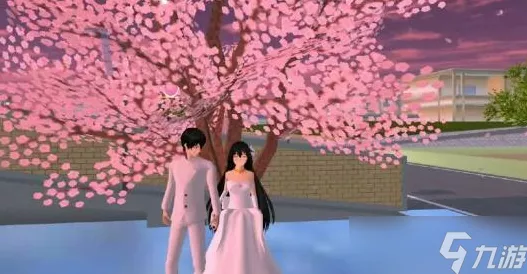 爱的魔力别针，樱花校园浪漫结婚秘籍大公开